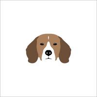 beagle hoofd geïsoleerd op een witte achtergrond. rashond vectorillustratie. vector