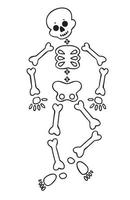 grappig tekenfilm dansen skelet. schattig grafiek voor halloween. hervat geïsoleerd illustratie Aan wit achtergrond. vector