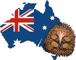 echidna's Australisch dier tekenfilm vector