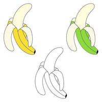 reeks met bananen - groente, geel, contour. geschild banaan. tropisch vruchten. doodles vector