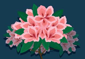 Azalea bloemen vectorillustratie vector