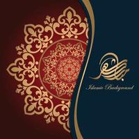 decoratief kader elegant element ontwerp mandala luxe kleur combinatie vector