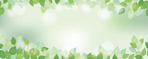 naadloze aquarel verse groene achtergrond met tekst ruimte, vectorillustratie. milieubewust imago met planten en zonlicht. horizontaal herhaalbaar.
