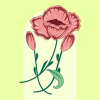 rood papaver bloem illustratie voor muur kunst, verpakking, label, poster, kaart, uitnodiging vector