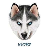 realistische hond husky portret vector