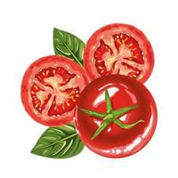verse gezonde tomaten pictogrammen vector
