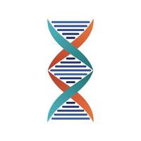 DNA-molecuul structuur geïsoleerde pictogram vector