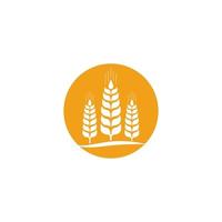 landbouw tarwe logo sjabloon vector icoon