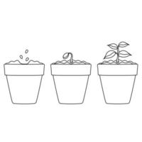 een reeks van helder vector illustraties van een pot met zaailingen, aanplant planten, binnen- planten en een groente tuin, tekening en schetsen