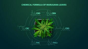 groene poster met chemische formules van natuurlijke cannabinoïden. cannabisplant met infographic van chemische formules van cannabinoïden in digitale stijl vector