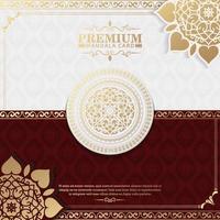 luxe mandala achtergrond met decoratieve frames vector