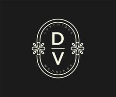 dv initialen brief bruiloft monogram logos sjabloon, hand- getrokken modern minimalistisch en bloemen Sjablonen voor uitnodiging kaarten, opslaan de datum, elegant identiteit. vector