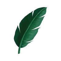 banaan blad tropisch planten groen bladeren Aan groen achtergrond vector