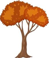 geïsoleerde herfst boom op witte achtergrond vector