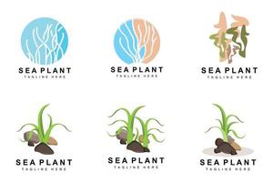 zeewier logo, zee planten vector ontwerp, kruidenier en natuur bescherming