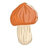 champignons in de hand- tekening stijl. psychedelisch abstract paddestoelen, hippie stijl. vector illustratie geïsoleerd Aan een wit achtergrond.