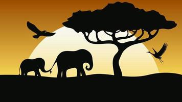 zonsondergang in savanne vector
