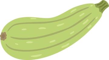 courgette illustratie groente vector