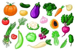 groente tekening kleur verzameling. gezond eetpatroon voor vegetarisch, veganistisch. biologisch broccoli, wortel, komkommer, kool, bloemkool, aubergine... Ingredients voor menu vector