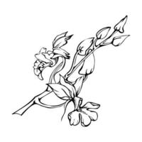 hand- getrokken vector inkt orchidee bloemen, stengels, bladeren, monochroom, gedetailleerd schets. samenstelling met takken. geïsoleerd Aan wit achtergrond. ontwerp voor muur kunst, bruiloft, afdrukken, tatoeëren, omslag, kaart.