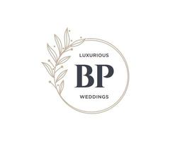 bp initialen brief bruiloft monogram logos sjabloon, hand- getrokken modern minimalistisch en bloemen Sjablonen voor uitnodiging kaarten, opslaan de datum, elegant identiteit. vector