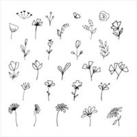bloemen hand getekend doodles set. geïsoleerd krabbels, bloemen en doorbladert vector