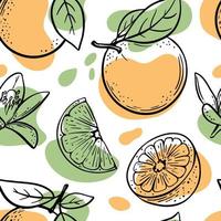 citrus backdrop heerlijk oranje fruit schetsen naadloos patroon vector