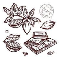 cacao Afdeling ontwerp in schetsen stijl vector illustratie reeks