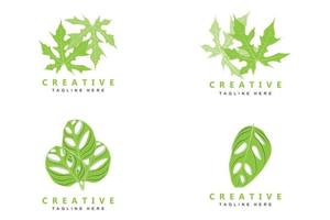 monstera adansonii blad logo, groen fabriek vector, boom vector, bijzonder blad illustratie vector