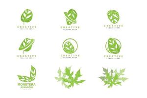 monstera adansonii blad logo, groen fabriek vector, boom vector, bijzonder blad illustratie vector