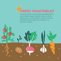 Doodles van verse groenten vector