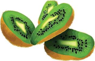 kiwi fruit Aan een wit achtergrond. vector