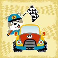 schattig beer Aan ras auto met af hebben vlag, vector tekenfilm illustratie