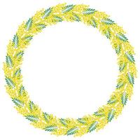 decoratief bloemen circulaire kader. kader gemaakt van takken van een bloeiend mimosa. sjabloon voor ansichtkaart, uitnodiging, groet kaart. vector illustratie