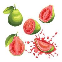 guava fruit vers reeks tekenfilm vector illustratie