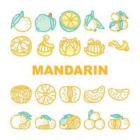 mandarijn- citrus fruit pictogrammen reeks vector