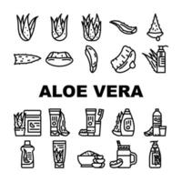 aloë vera fabriek natuur groen blad pictogrammen reeks vector