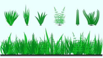 groen gras reeks en planten voorjaar en zomer geïsoleerd wit vector achtergrond