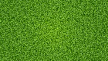groen gras vector textuur. vers gazon zomer gras achtergrond