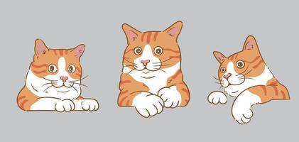 tekenfilm nieuwsgierig gluren oranje katten vector