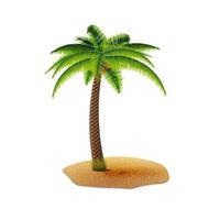 kokospalm geïsoleerd op een witte achtergrond voor uw creativiteit vector
