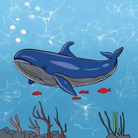 de blauw walvis vector