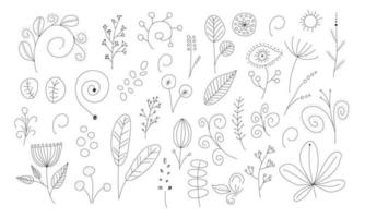 magie botanisch verzameling. takken, bloemen en bladeren, handgetekend vector illustratie