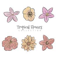 Tropische bloemen Set collectie vector