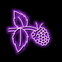 zoet framboos fruit neon gloed icoon illustratie vector