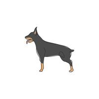 enkele doorlopende lijntekening van onstuimige doberman-hond voor de identiteit van het beveiligingsbedrijflogo. rasechte hond mascotte concept voor stamboom vriendelijk huisdier icoon. moderne één lijn tekenen ontwerp vectorillustratie vector