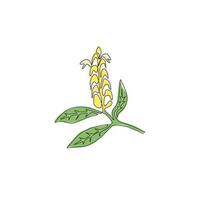 enkele doorlopende lijntekening van schoonheid verse lolly plant voor home decor wall art poster print. decoratieve pachystachys lutea voor bloemenkaartframe. moderne één lijn tekenen ontwerp vectorillustratie vector