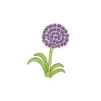 enkele doorlopende lijntekening schoonheid verse allium giganteum voor home decor wall art poster print. decoratieve globemaster-bloem voor bloemenkaartframe. moderne één lijn tekenen ontwerp vectorillustratie vector