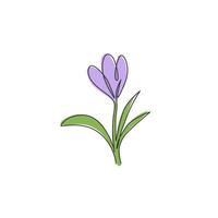 één enkele lijntekening van schoonheidsverse croci voor tuinlogo. afdrukbare decoratieve krokus bloem concept voor home decor wall art print poster. trendy doorlopende lijn tekenen ontwerp vectorillustratie vector