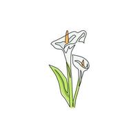 een doorlopende lijntekening schoonheid verse zantedeschia voor thuis muur decor print. afdrukbare decoratieve aronskelk bloem voor bruiloft uitnodigingskaart. moderne enkele lijn tekenen ontwerp vectorillustratie vector